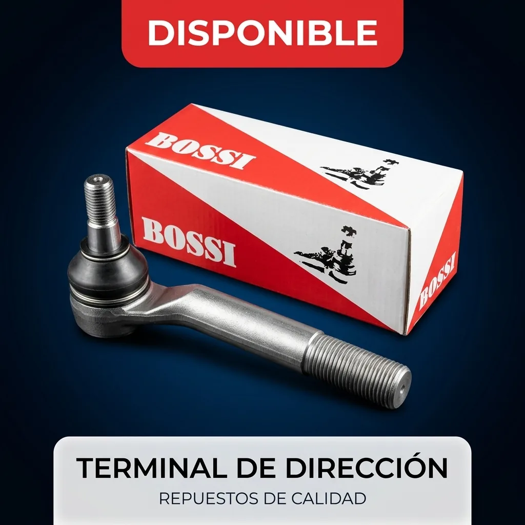 Terminal de dirección
